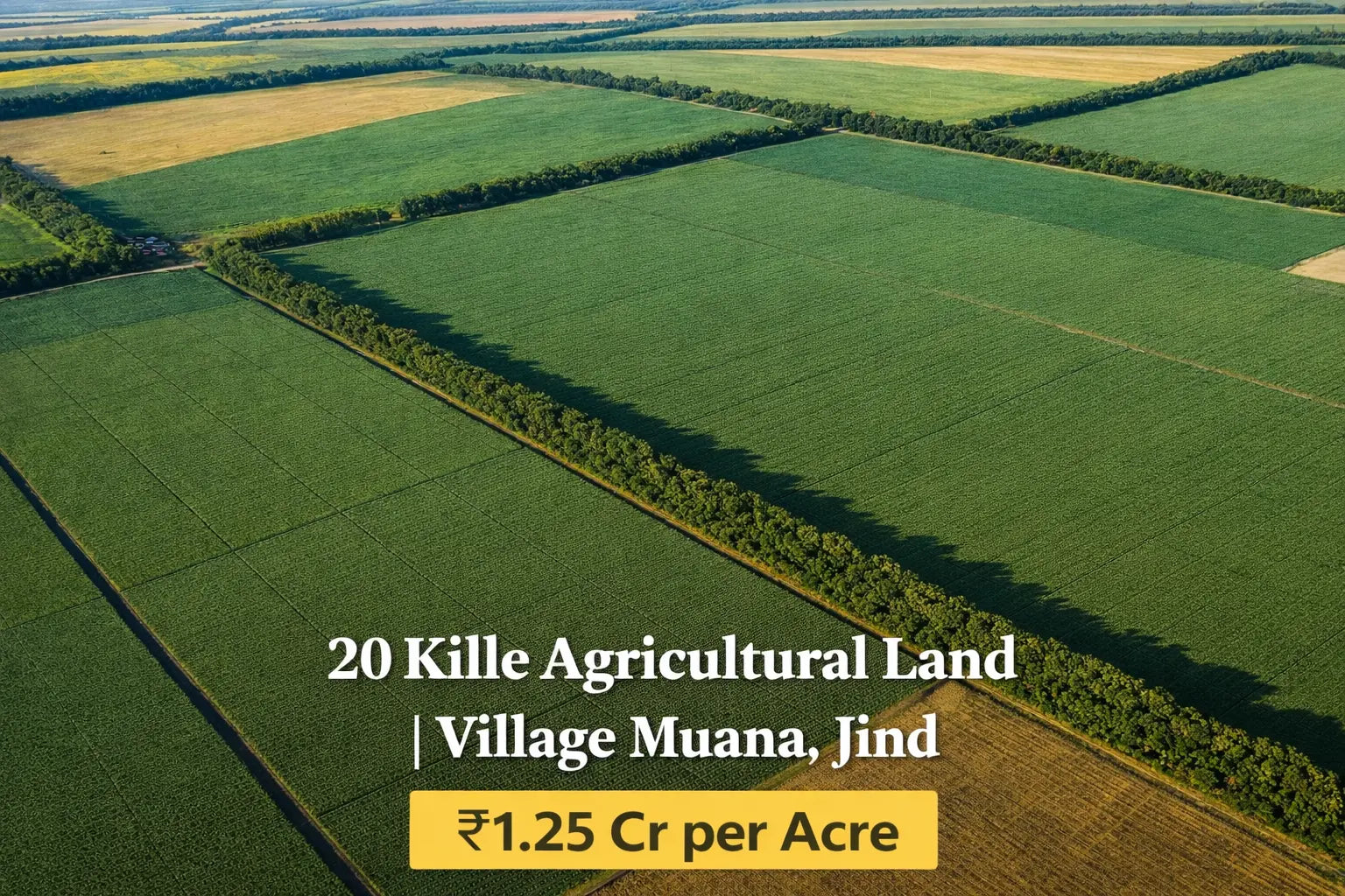 MI-JND-MUA-020A Moonlight Investors