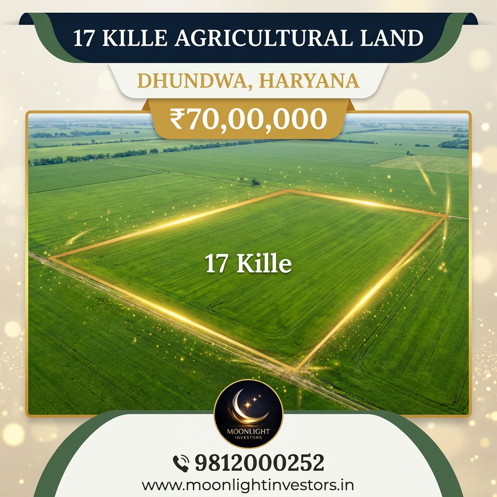 17 Kille agricultural land | Dhundwa, Haryana | ₹70,00,000 My Store
