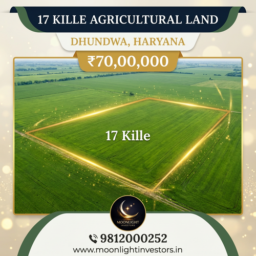 17 Kille agricultural land | Dhundwa, Haryana | ₹70,00,000 My Store