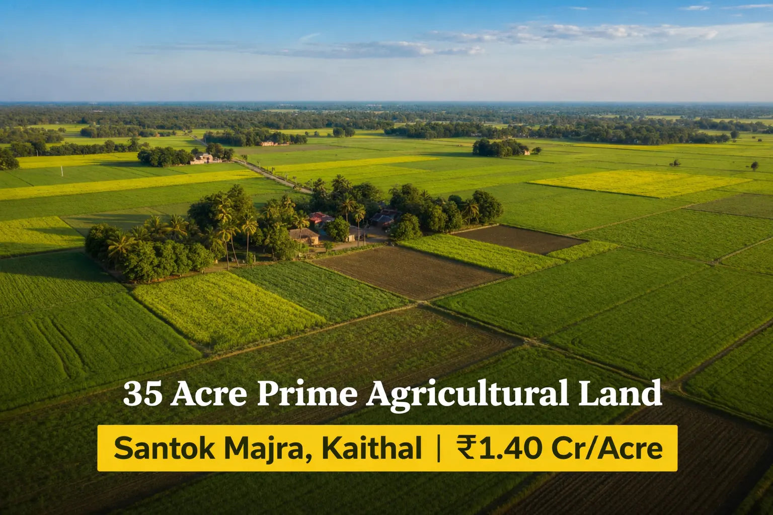 MI-KTL-SMJ-035A Moonlight Investors