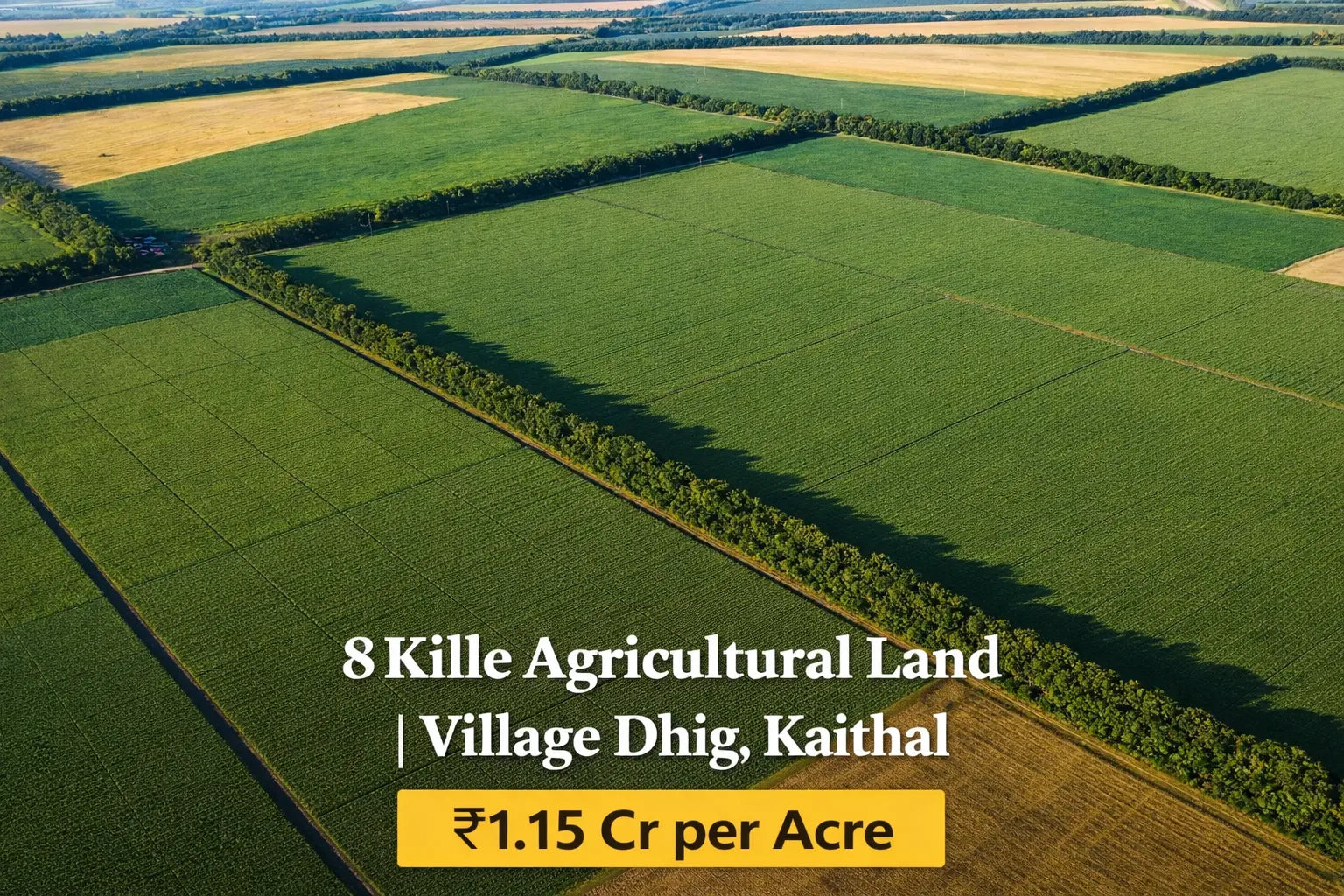 MI-KTL-DHG-008A Moonlight Investors