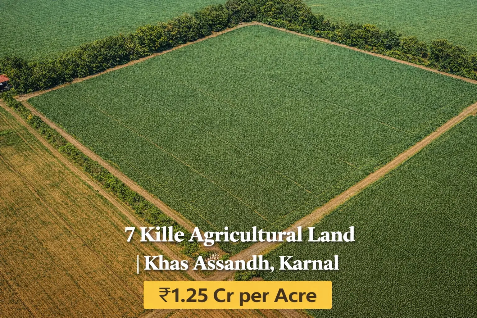 MI-KRL-ASD-007A Moonlight Investors