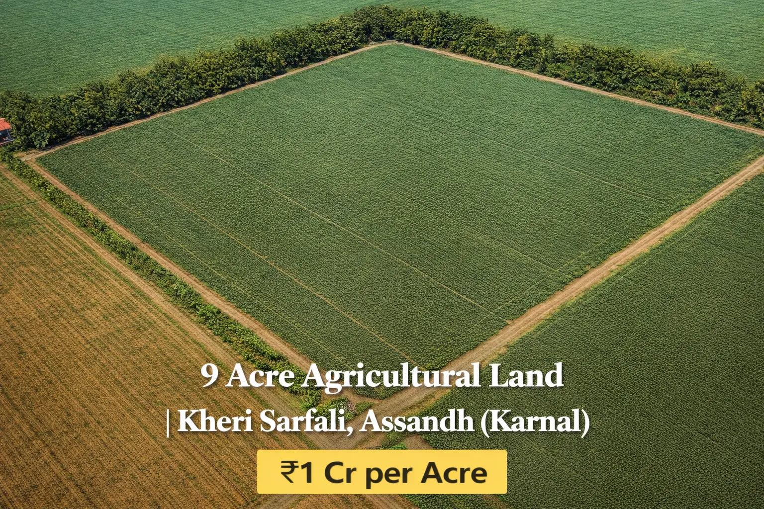 MI-KRL-ASD-KSF-009A Moonlight Investors