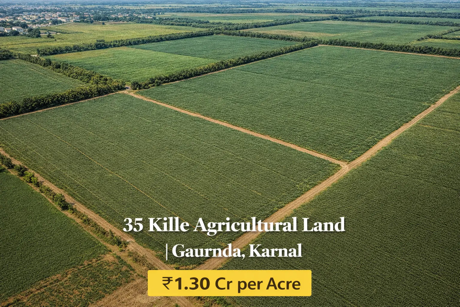 MI-KRL-GRD-035A Moonlight Investors